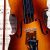 musikalische-freizeitbeschaeftigung-200px-200px-200x200-5.jpg Alguacil
